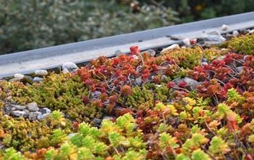 the cost of Pentrefoelas green roof installation