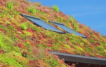 Pentrefoelas living roof systems