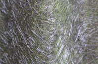 Pentrefoelas fibreglass roof work